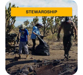 A group of Overland Bound Members cleaning up garbage in the Mojave Desert.